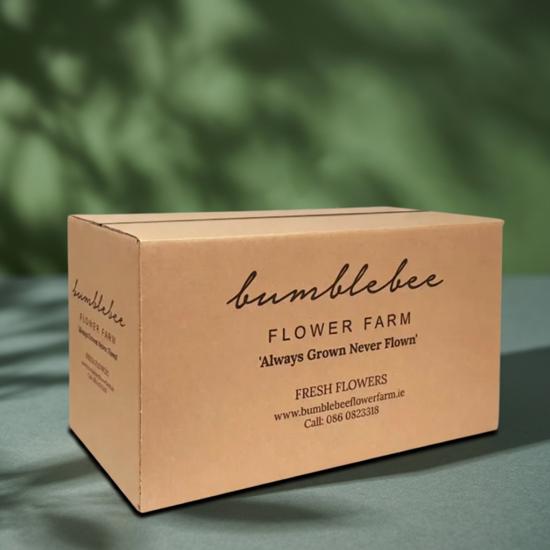 Branded Bespoke Boxes