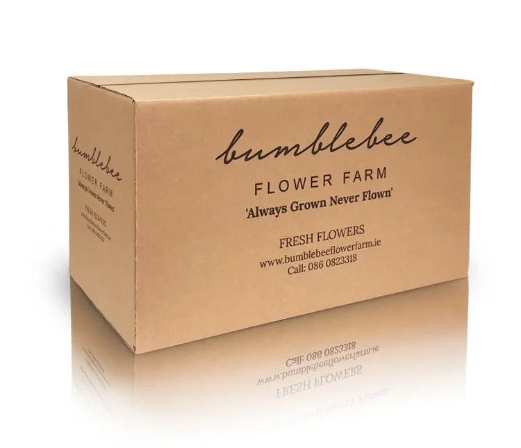 Branded Ecommerce Boxes