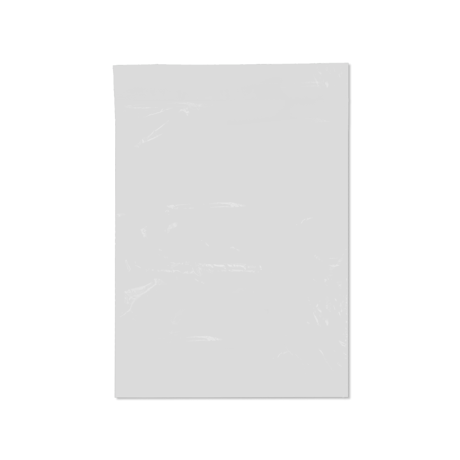 GoSecure Mailer Bags