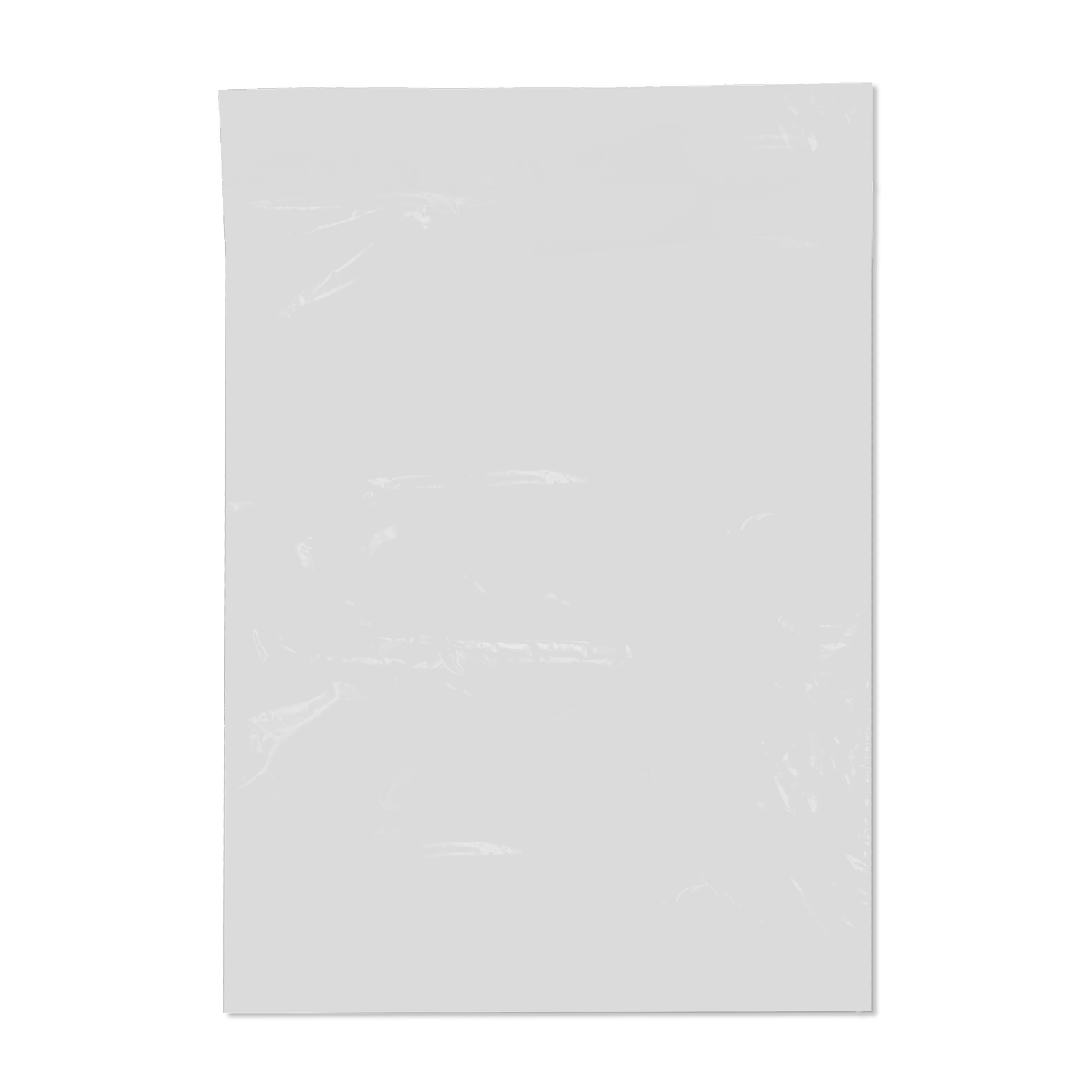 GoSecure Mailer Bags