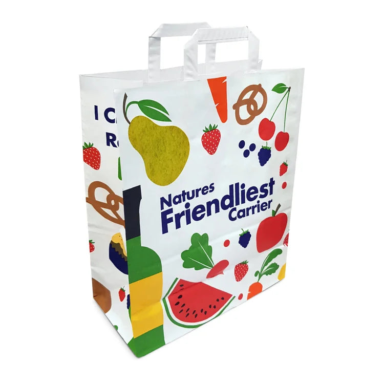 The Reusable Paper Bag